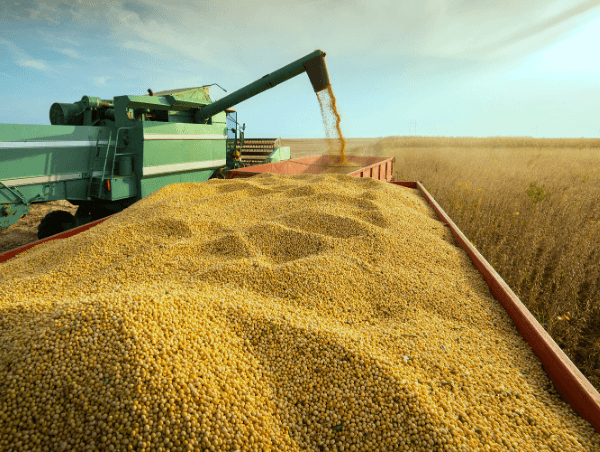 Controle inteligente da manutenção e ativos na cadeia do agro